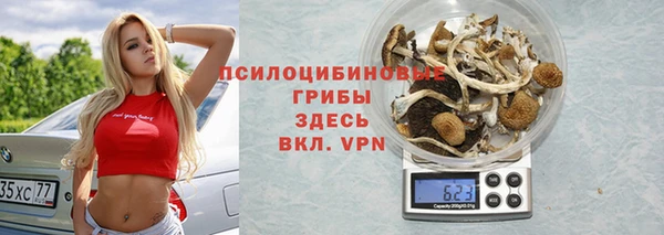 хмурый Алексеевка