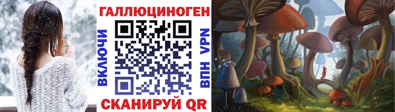 блэк спрут как зайти  Дрезна  Псилоцибиновые грибы Cubensis 