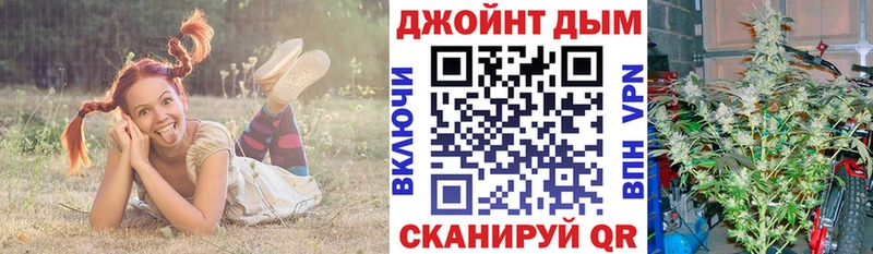 даркнет сайт  mega маркетплейс  Бошки марихуана OG Kush  Дрезна 